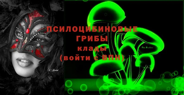 кристаллы Покачи